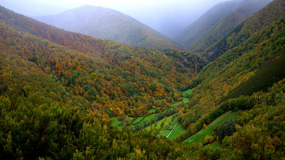 PRINCIPALa las puertas de muniellos. Ecoturismo y turismo de experiencias en plena naturaleza (3)