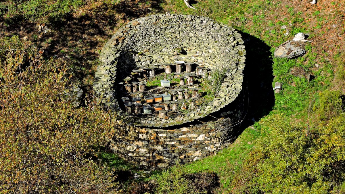 cortin de abejas con colmenas en el suroccidente asturiano fuentes del nareca degaña e ibias apicultura ecoturismo experiencias etnografía cultura